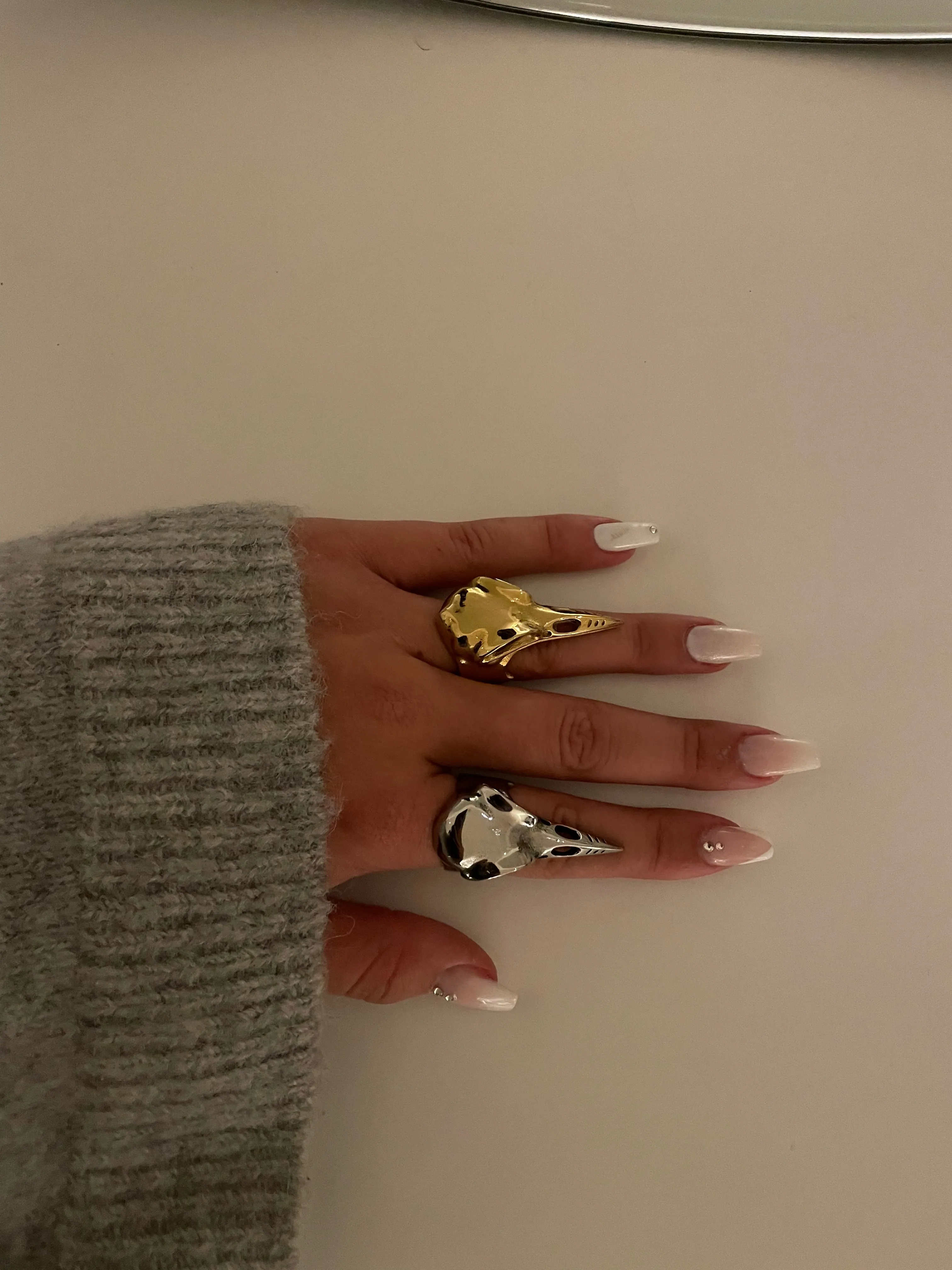 Bird ring