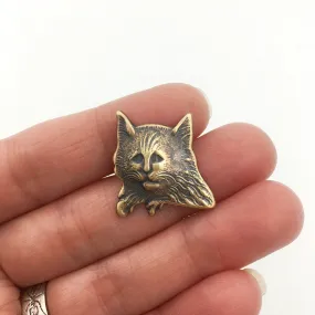 Brass Nervous Cat Pin or Brooch