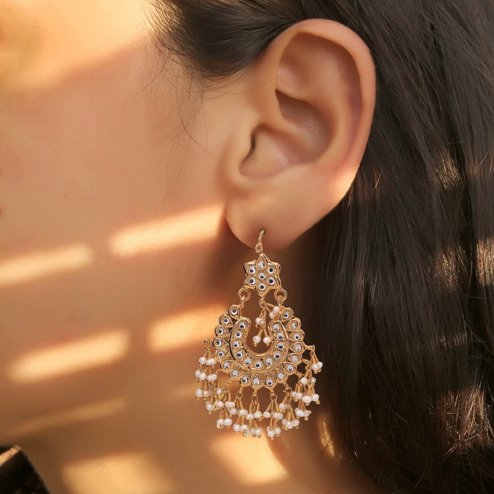 Earrings - E1362