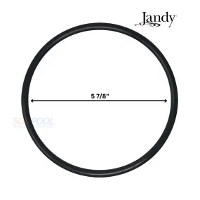 Jandy Lid O-Ring For FloPro Pumps | R0480200