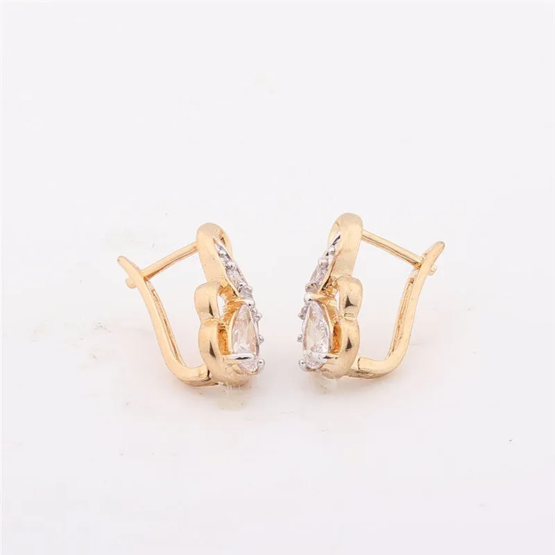 Luxury Brand Fashion Earring for Women Zirconia Crystal Jewelry Designer Earrings